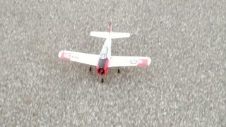 Parkzone UM Trojan Flight Lesson 2