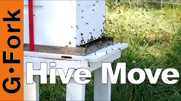 Move a Beehive - Beekeeping 101 - GardenFork