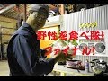 野性を食べ隊！ファイナル！