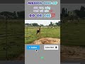 MISSION OP#police #op #highjump #highlights #policebharti #viralvideo #viral #OP#run #viralshort