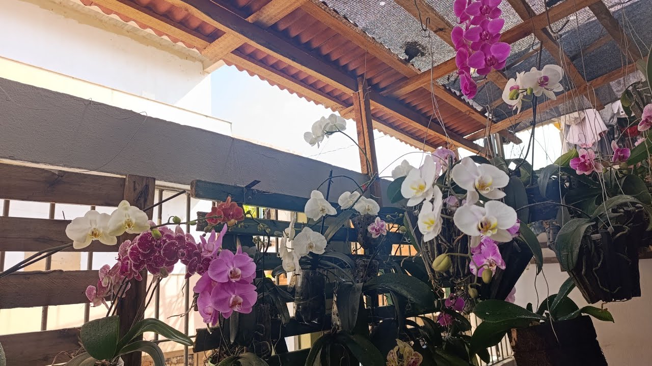 A primavera chegou com tudo por aquilo 