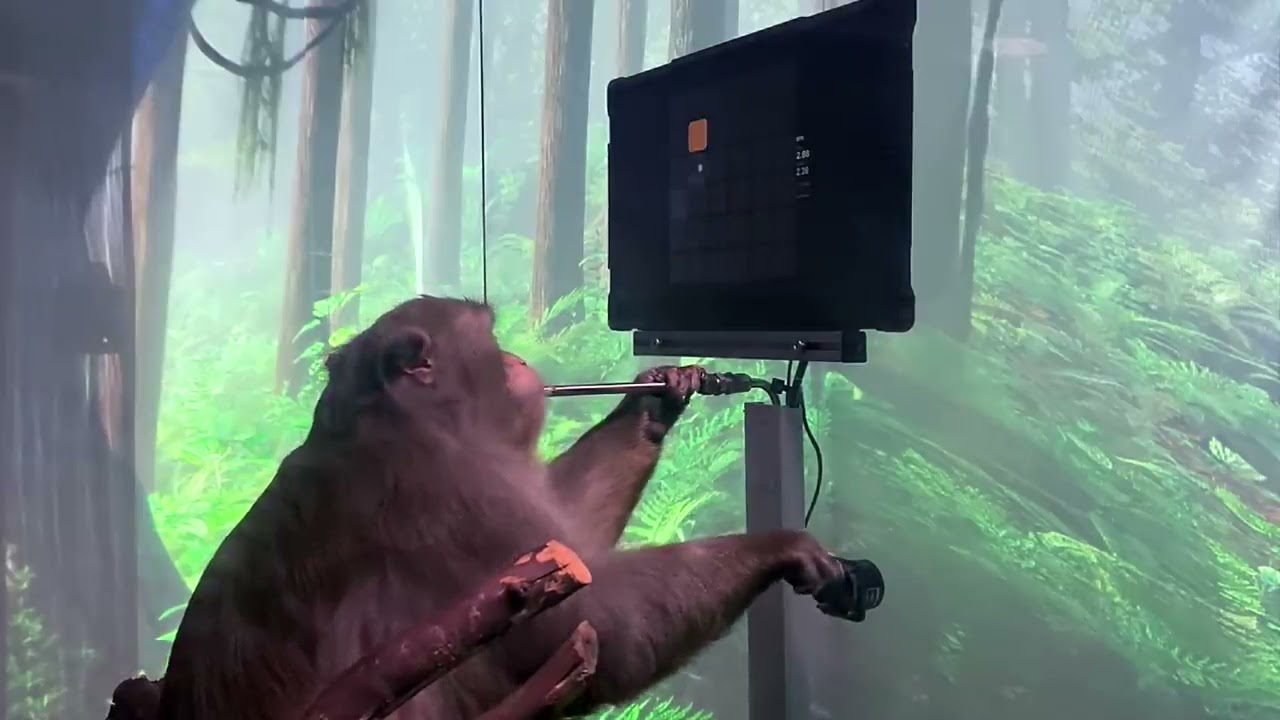 YouTube player
