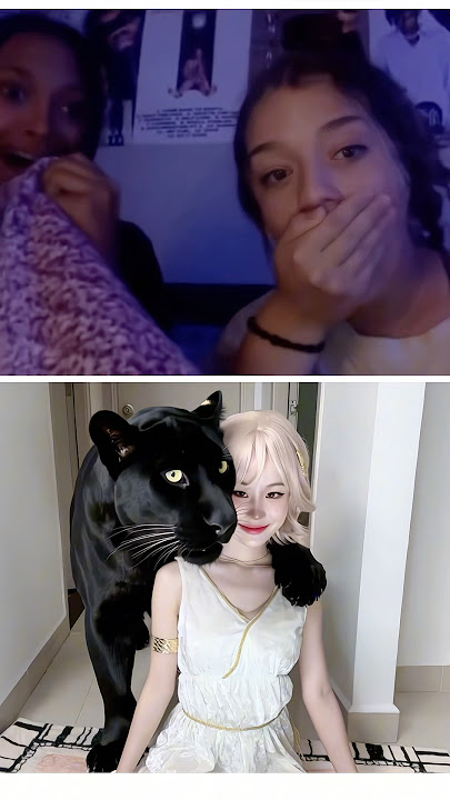 What kind of Cat is that? | CHANG DORY | omegle