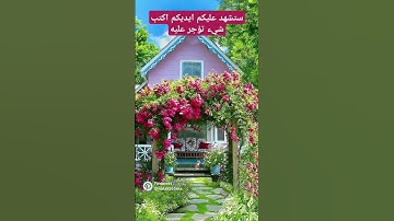 سوره القدر بصوت الشيخ فارس عباد #اكسبلور #يوتيوب