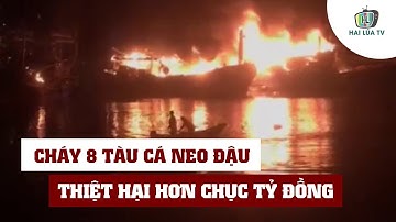 Cháy 8 tàu cá neo đậu tại Cảng cá Quy Nhơn, thiệt hại hơn chục tỷ đồng
