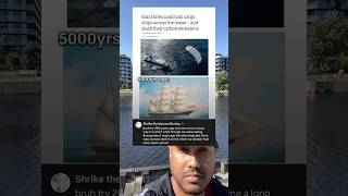 Giant kites could pull cargo ships across the ocean - and their carbon emissions