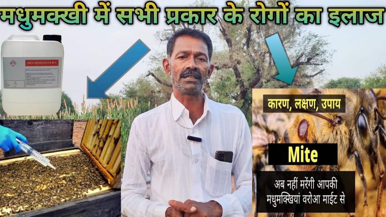 मधुमक्खी में सभी प्रकार के रोगों का इलाज/Treatment of all types of diseases in bees