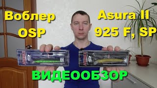 Воблер OSP Asura II 925. Обзор воблеров на щуку