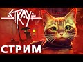 🔴 Кошкотуним за котеечку | STRAY | ч. 1 🔴 #STRAY #СТРЭЙ #ЛЕГЕНДА #ПРОХОЖДЕНИЕ