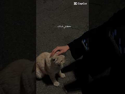 مكتفي فيك للأبد حب 