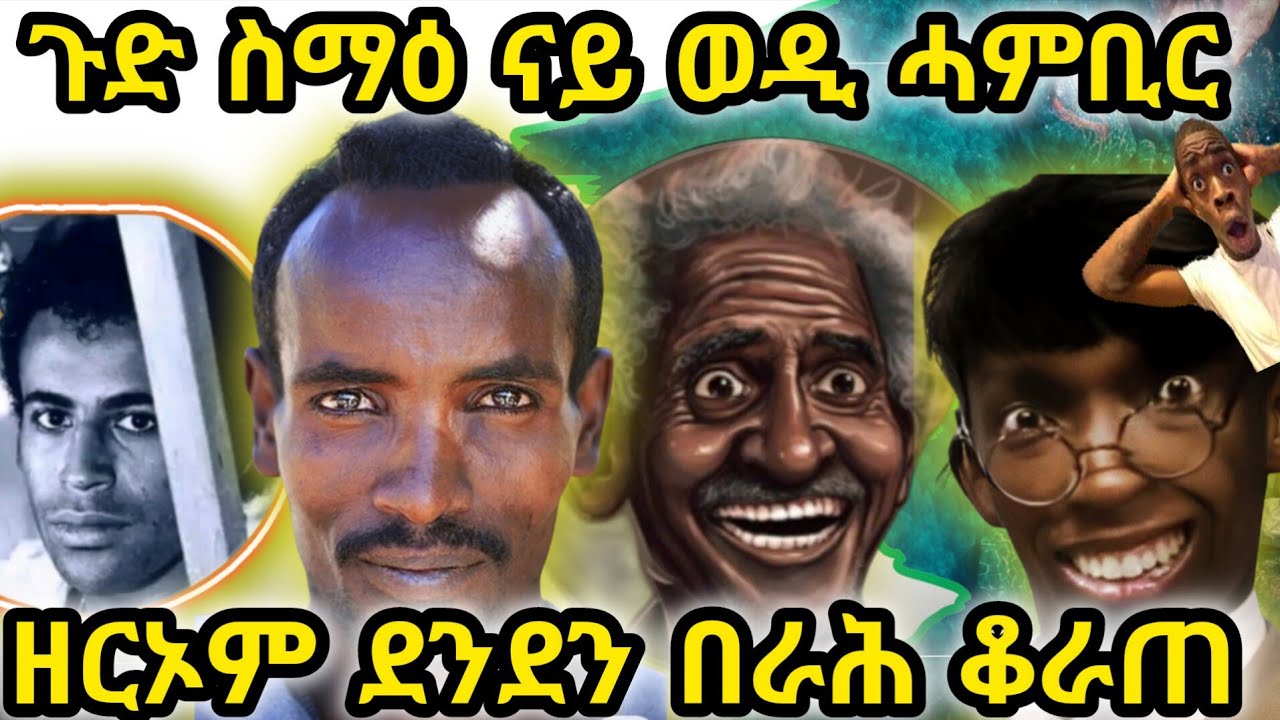 🚨🚨🚨ወዲ ዘርኦም እየ ዝብል ተረኺቡ መርመራ ክንገብር ኣምሲና /ደንደን /በራሕ /ቆራጠ /ዘርኦም 