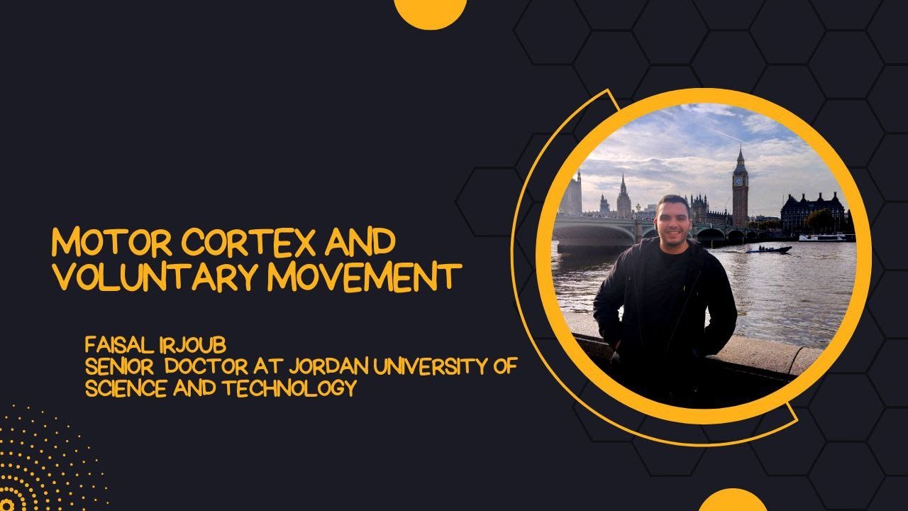 MOTOR CORTEX|VOLUNTARY MOVEMENT|PYRAMIDAL & EXTRA PYRAMIDAL TRACT شرح الجهاز العصبي لطلبه الطب