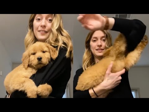 Dog Doesn't Want Owner To Leave To Go To Work - YouTube