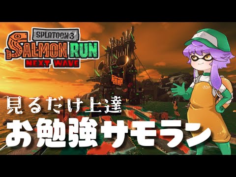 【サーモンランNW】見るだけ上達"お勉強ｻﾓﾗﾝ"！個性強くて強いすじこJCT（ﾊﾟﾌﾞﾛ ﾎﾞｰﾙﾄﾞ ﾅﾓ 96）【スプラトゥーン3】