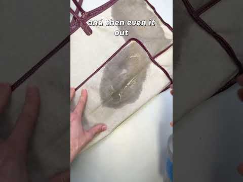 $1,900 GOYARD Tote