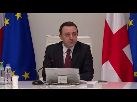 საქართველოში მაღალი ხარისხის, დაბალი ფასის  მედიკამენტები შემიოვა- ღარიბაშვილის განცხადებები