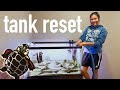 75-Gallon Turtle Tank Setup: Challenges, Insights, and Future Goals