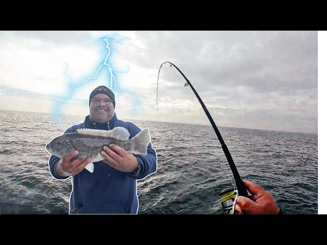 Dad's Tog Adventure: Powering Up on the Big Mohawk Party Boat