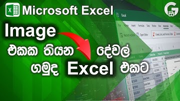 How to Add Image Data to Excel | Step-by-Step Sinhala Guide | Excel Sinhala Tutorial