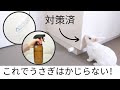 うさぎのかじり対策　誤飲防止　バニープルーフ　（部屋んぽや放し飼いで）