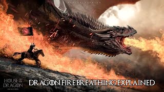 Men's Game Of Thrones: House Of The Dragon Fire-breathing Dragon