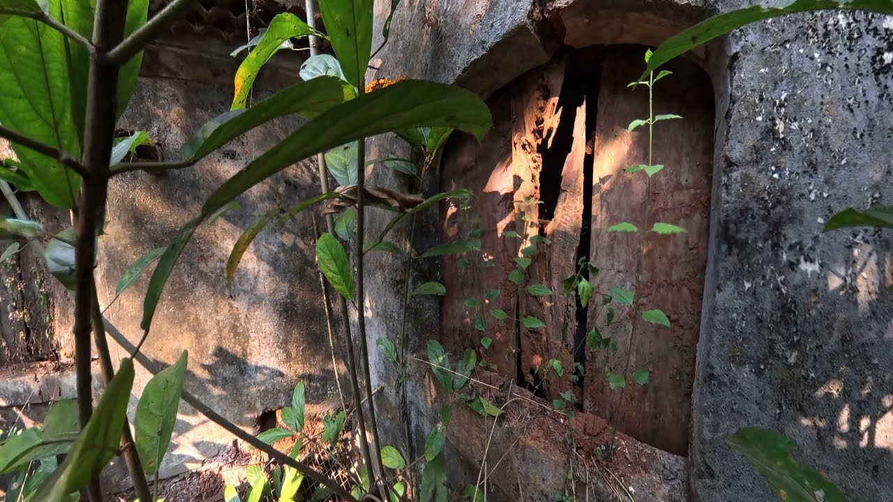 Spooky Old Dilapidated House at Siolim Goa 360° video insta360