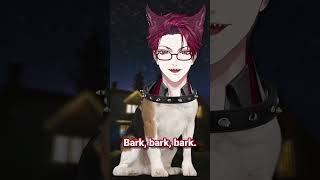 put me in your dating app profile, bark bark bark #jurardtrexford #shorts #dogs #holoarmis