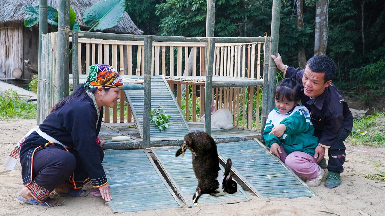 Dwarf Family Catching Fish and Rabbits - Building Rabbit Cages - Happy Country Life - Full Video