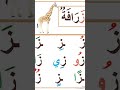 حرف الزاى حركات قصيرة حركات طويلة تنوين 