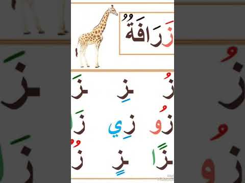 حرف الزاى حركات قصيرة حركات طويلة تنوين