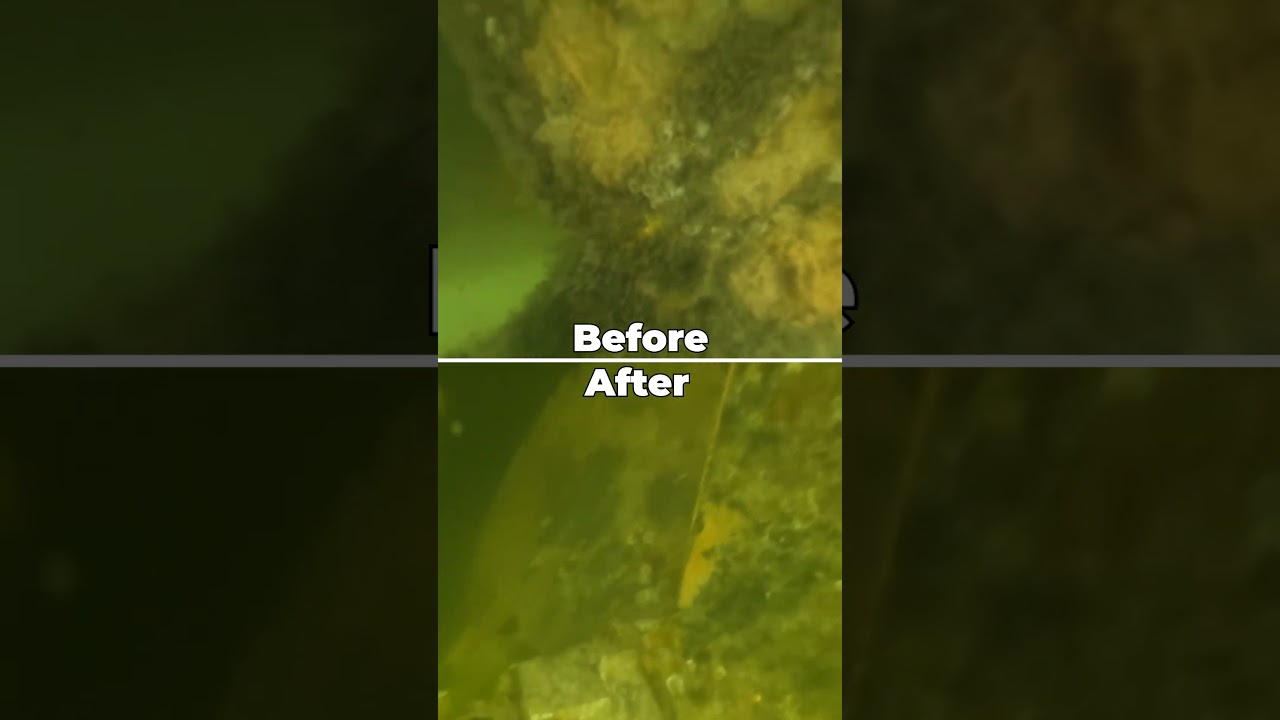 Before & After: Underwater Boat Hull Cleaning 