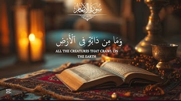 وما من دابة في الارض . سورة الانعام . طارق محمد