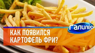 Галилео 🍟 Как Появился Картофель Фри?