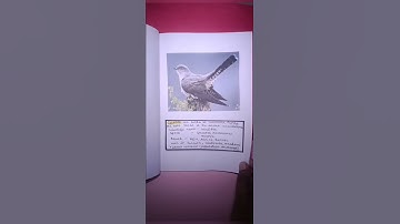 Red data book 📚 #youtubeshorts #diy #support #craft #reddatabook