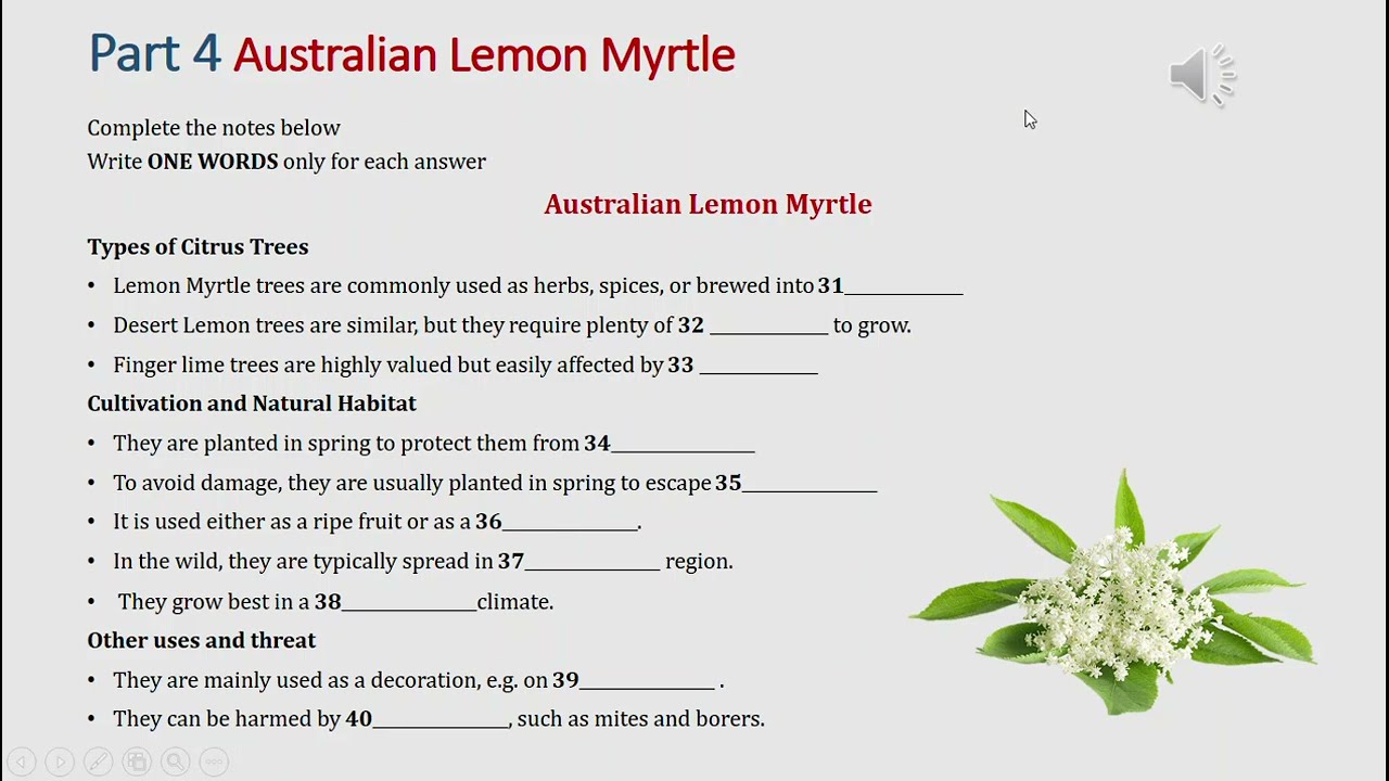 IELTS listening practice Part 4: The Australian lemon myrtle - hard (answer+ transcript)