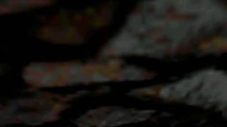 Thief - Invisible Deathtrap