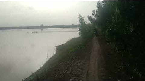 ẤP 3 XÃ TÂN LẬP HUYỆN MỘC HÓA..100tr) một công