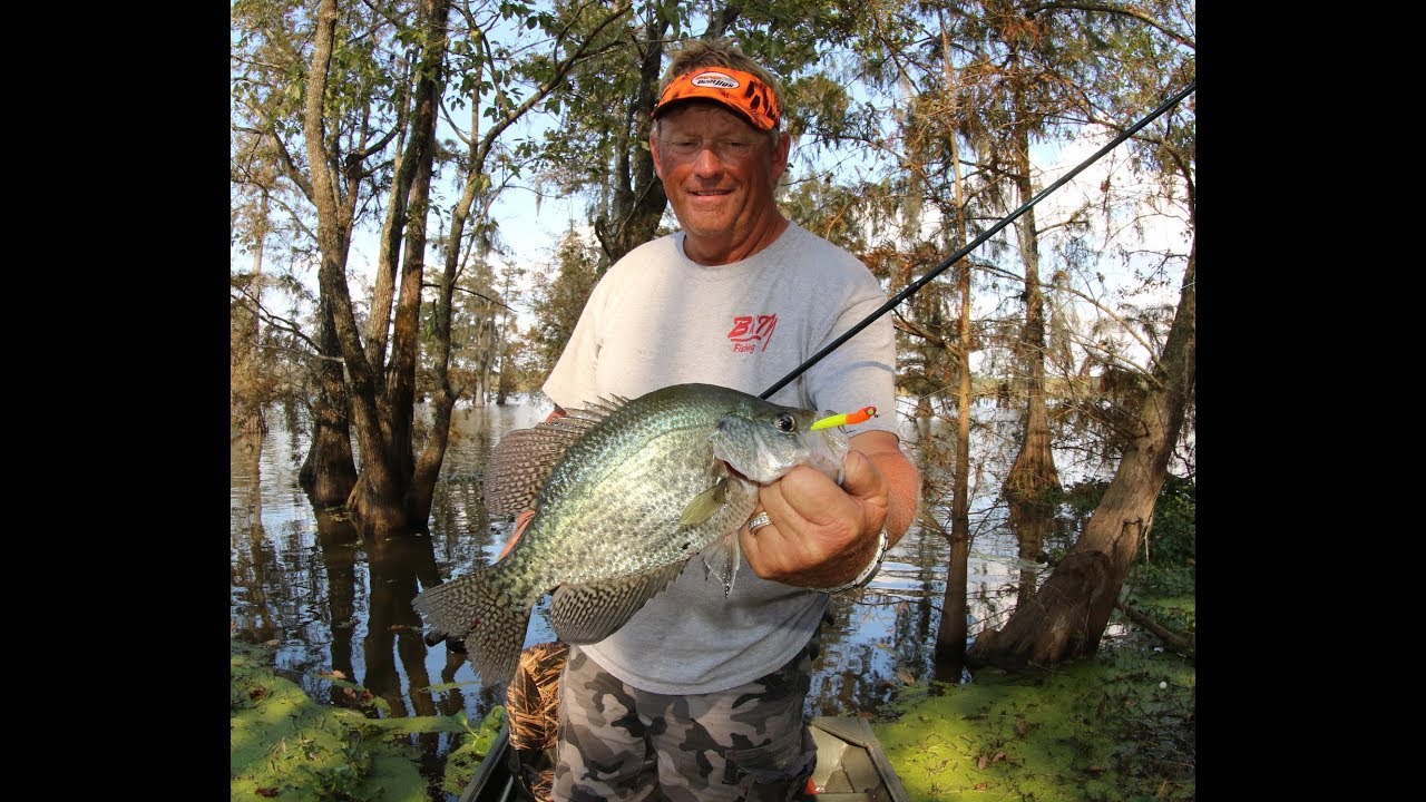 How to catch crappie on grassbeds