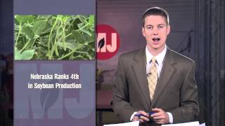 Market Journal - November 23, 2012