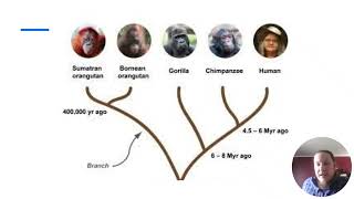 Refuting Evolution Denial Tropes: The 2nd Law of Thermodynamics & Why Are There Still Monkeys