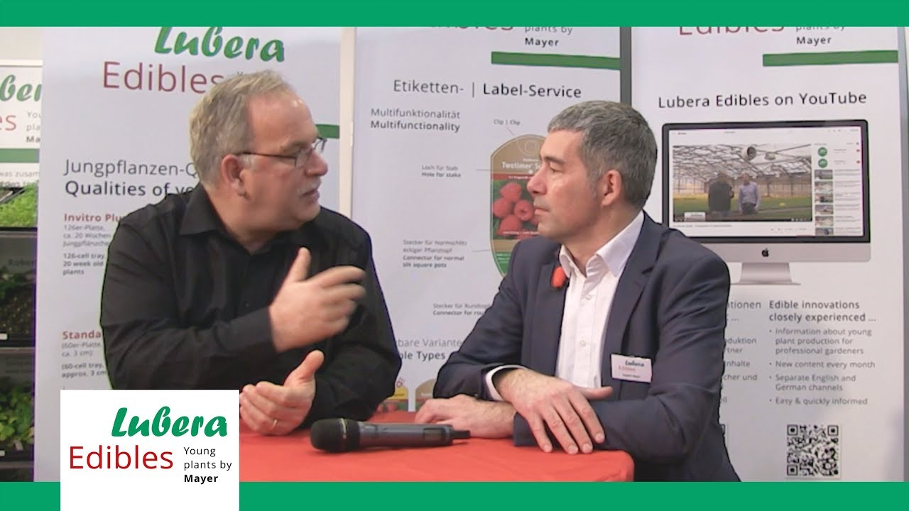 The New Information Platform For LuberaEdibles – luberaedibles.com