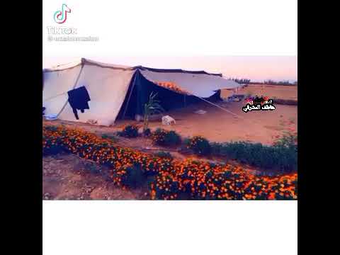 البدو العرب في سوريا