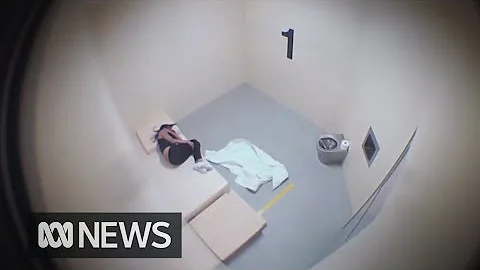 CCTV footage of Tanya Day hitting head in police c...