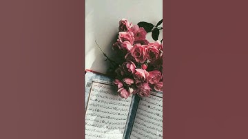 ما تيسّر من [الجزء الرّابع] للقارئ أمين موسى. نبرة خاشعة وحزينة.