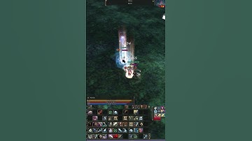 L2Reborn x10 Dagger daily PVP #5 #lineage2 #l2 #reborn #pvp #dagger #interlude #mmo  #shorts