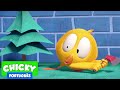 Onde está Chicky? 2021 | CHICKY EL  MADEIREIRO | Desenhos Animados Infantil