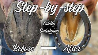 Hoof Restoration-Satisfying-Farrier