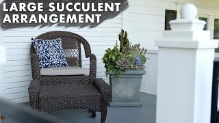 How I Put Together A Large Succulent Arrangement 🌿