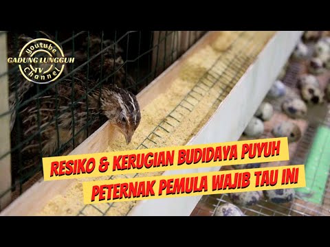 Video: Permohonan untuk mengembalikan duti negeri kepada cukai: contoh penulisan