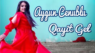 Aygun Cenublu - Qayit Gel 2023  Resimi